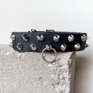 ID Halsband | Biothane | Veganes Leder | Nieten | Maßgeschneiderte