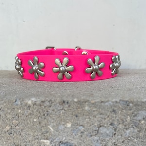 Könnte beinhalten: Ein leuchtend pinkfarbenes Hundehalsband mit silbernen, gänseblümchenförmigen Akzenten.