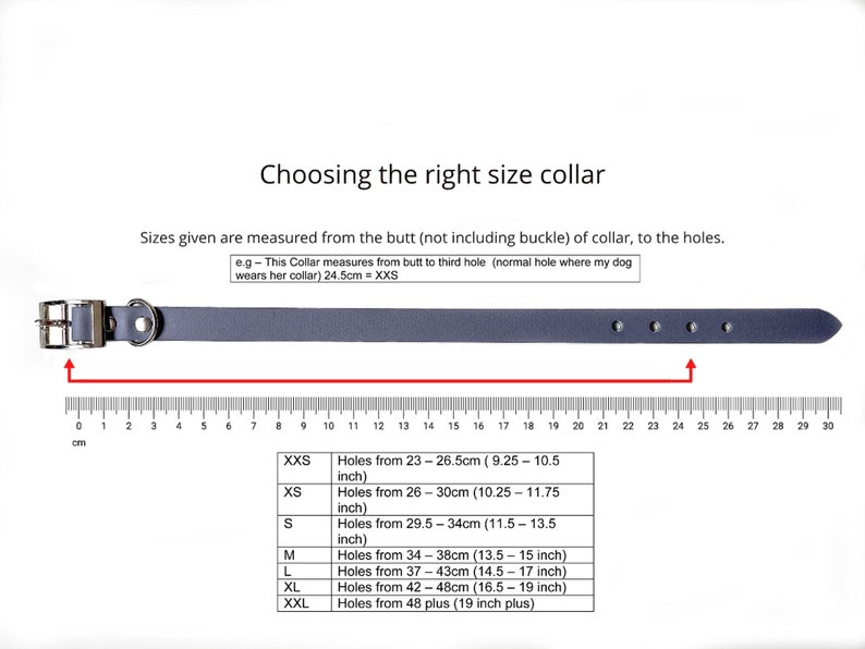May include: A gray dog collar with a silver buckle and multiple holes for adjustment. A ruler in centimeters is shown below the collar to help determine the correct size. A chart lists the collar sizes in inches and centimeters, along with the corresponding hole measurements.