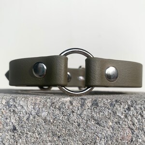 May include: A green leather dog collar with a silver ring and two silver rivets.