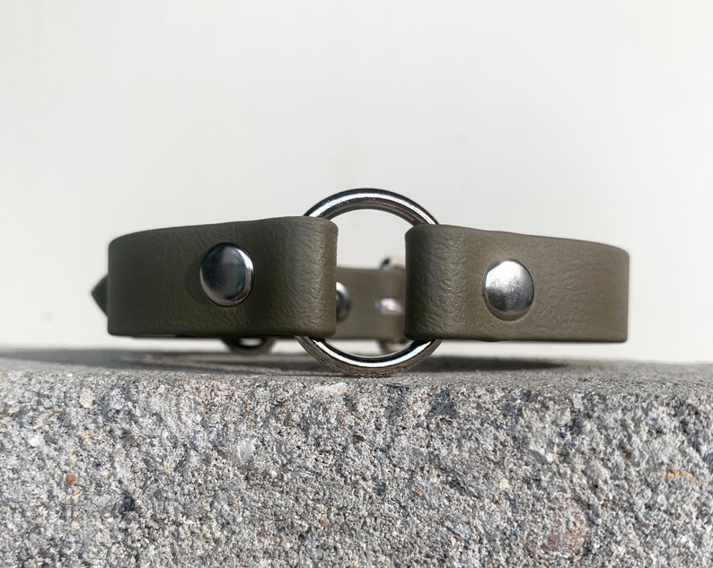 May include: A green leather dog collar with a silver ring and two silver rivets.