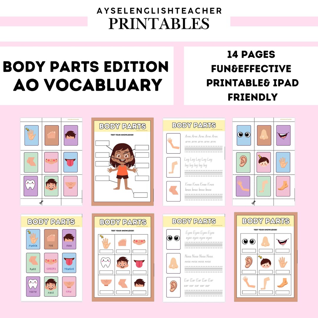 BEGINNER VOCABULARY Body Parts Worksheet - Etsy