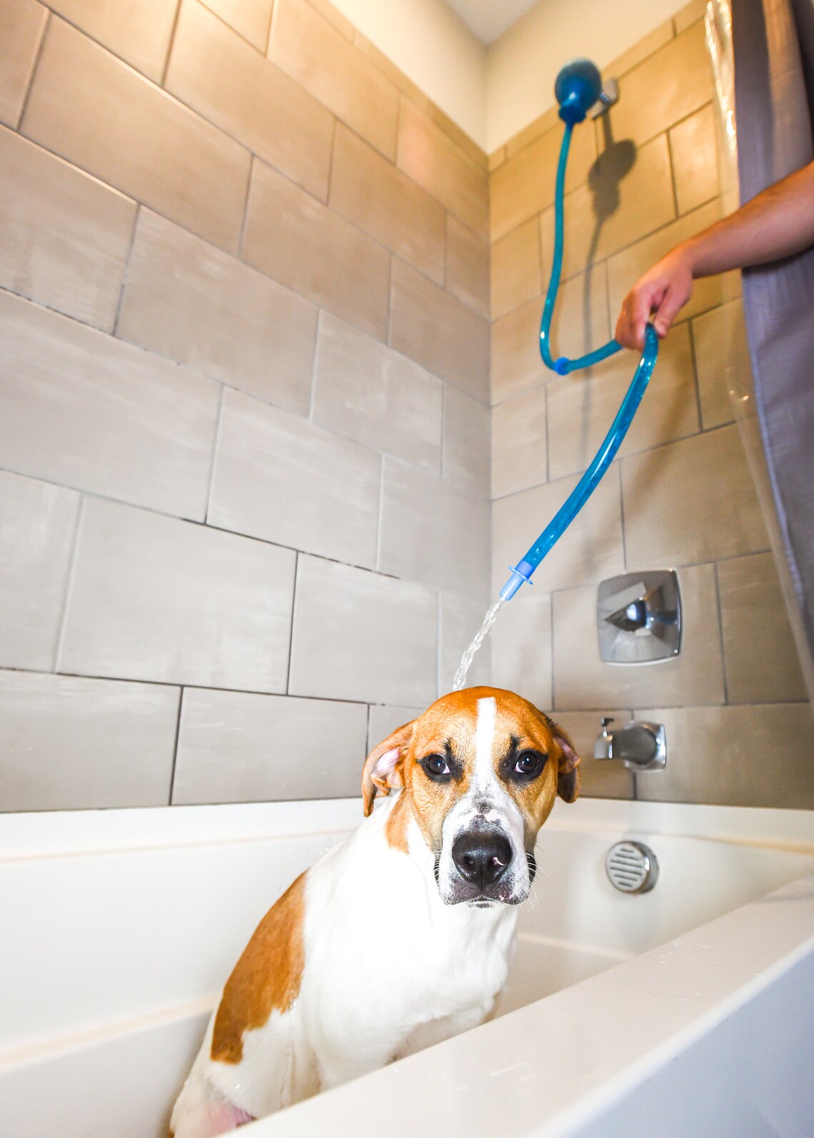 Rinseroo Slipon Dog Wash Hose Attachment. Pet Bather for Etsy