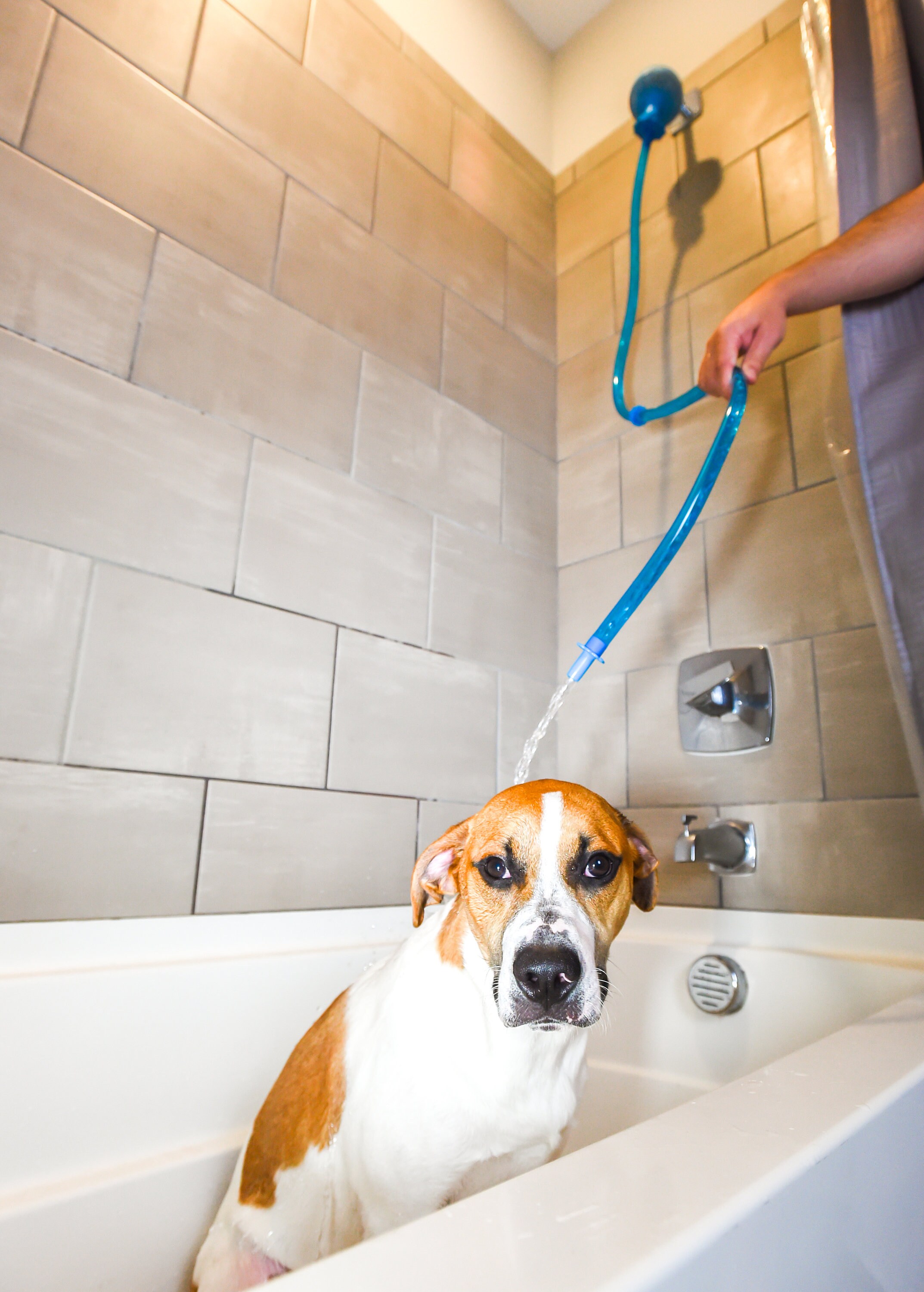 Rinseroo Slipon Dog Wash Hose Attachment. Pet Bather for Etsy