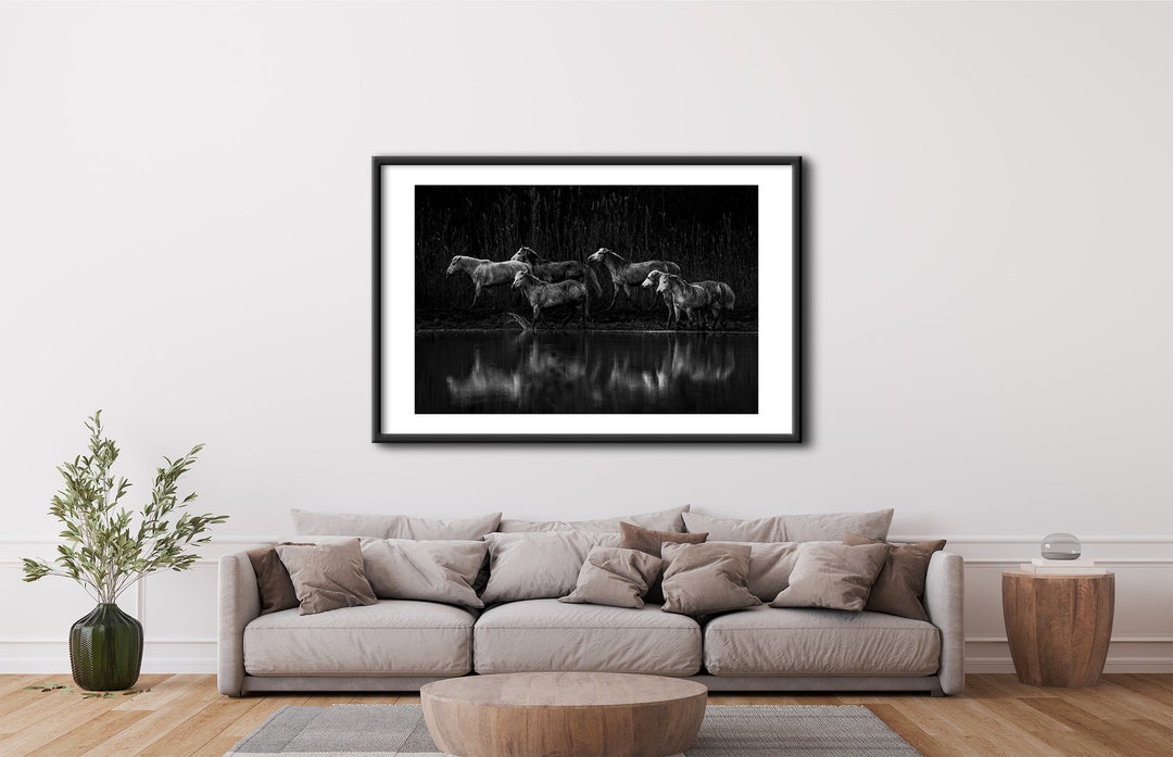 Black and White Fine Art Photography Print wild Horses Fine Art Print ...