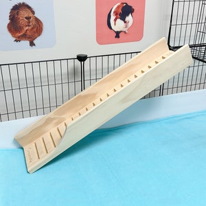 Guinea pig ramp grip top
