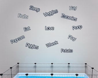 Guinea Pig Words Wall Decals, Guinea Pig Words, Guinea Pig Decor, Guinea Pig Accessories, Guinea Pig Sign, Guinea Pig Cage Wall Decor