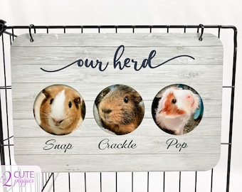 Guinea Pig Name Tag - Multiple Guinea Pig Tag