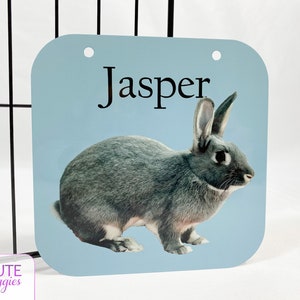 Bunny Rabbit Name Tag, Rabbit Accessories, Pet Tag, Bunny Personalized ...