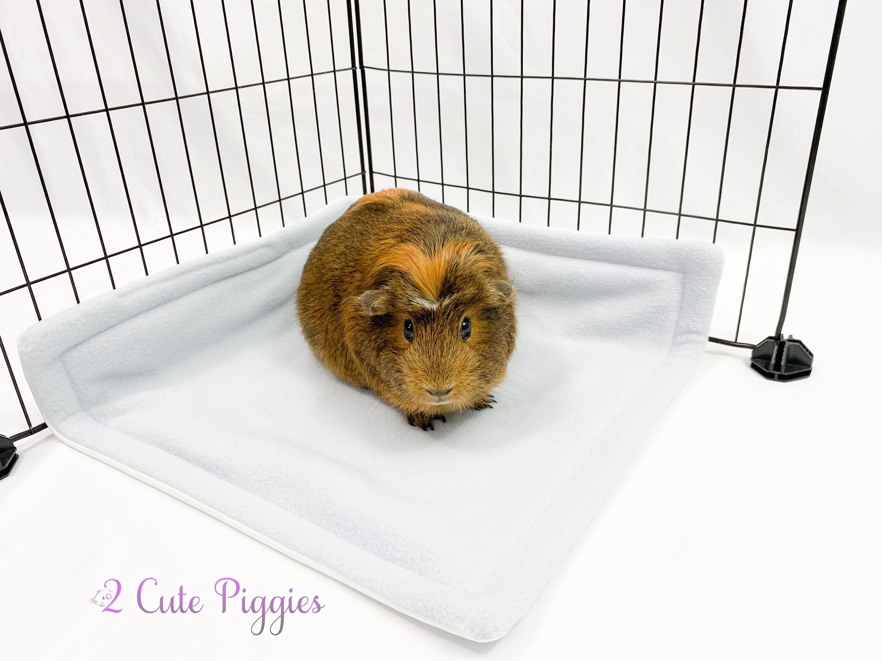 Poo Corner for Guinea Pigs Guinea Pig Potty Pads Pee Pads Etsy Poo Corner for Guinea Pigs Guinea Pig Potty Pads Pee Pads Etsy
