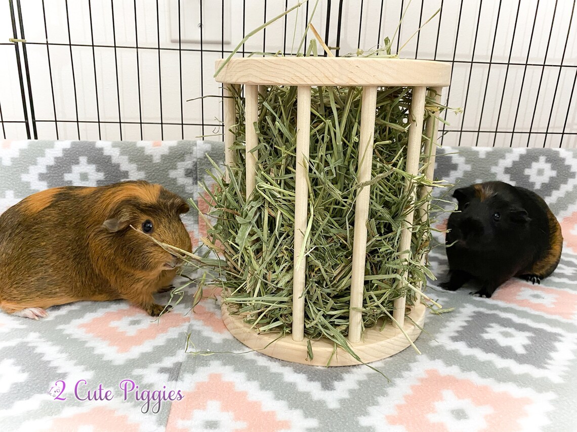 Guinea Pig Hay Feeder Chinchilla Hay Feeder Hay Feeder Hay Etsy
