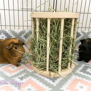 Guinea Pig Feeder Etsy