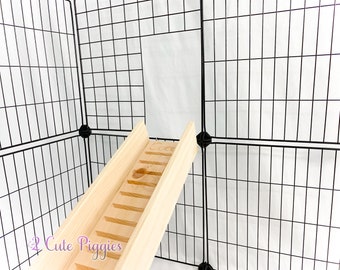 Guinea Pig Ramp - with Sides - 5.5" Width