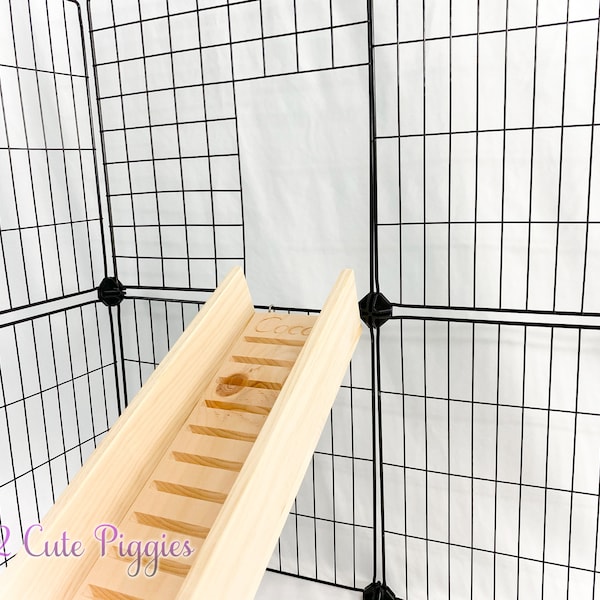 Guinea Pig Ramp Etsy