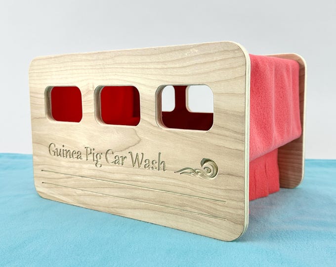 Featured listing image: Guinea Pig Hidey, Guinea Pig Accessories for Cage, Guinea Pig Tunnel, Guinea Pig House, Guinea Pig Furniture - Car Wash