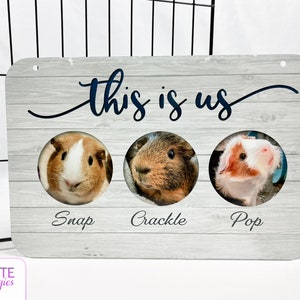 Guinea Pig Name Tag, Guinea Pig Accessories, Guinea Pig Cage Decorations, Personalized Cage Tag, Guinea Pig Sign Decor, Cage Accessory