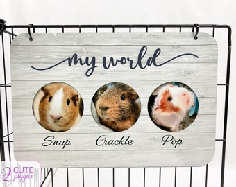 Guinea Pig Name Tag - Multiple Guinea Pig Tag