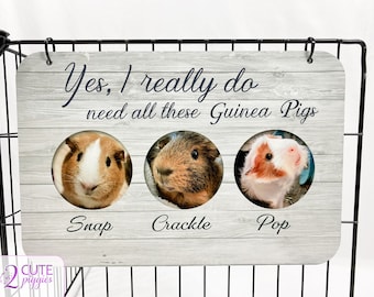 Guinea Pig Name Tag - Multiple Guinea Pig Tag