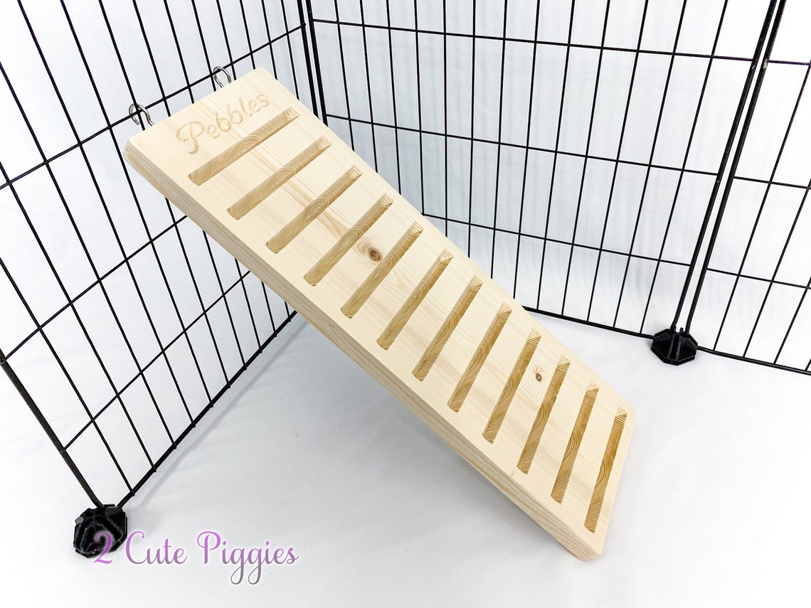 5.5 Guinea Pig Ramp Guinea Pig Accessory Chinchilla Etsy
