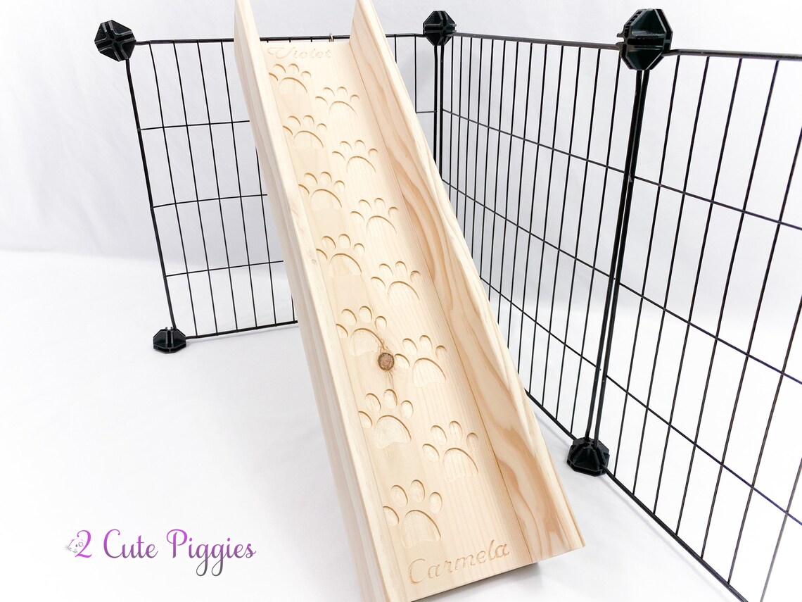 5.5 Guinea Pig Ramp With Sides Guinea Pig Accessory Etsy
