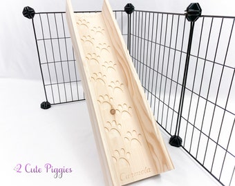 Guinea Pig Ramp - with Sides - 5.5" Width