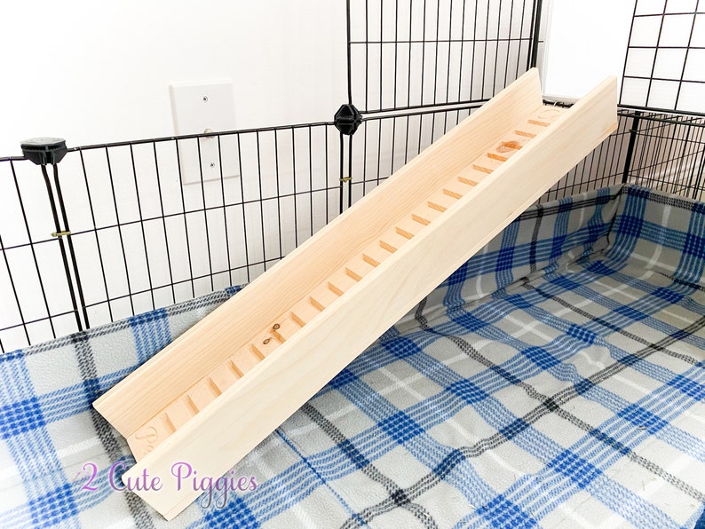 5.5 Guinea Pig Ramp With Sides Guinea Pig Accessory Etsy