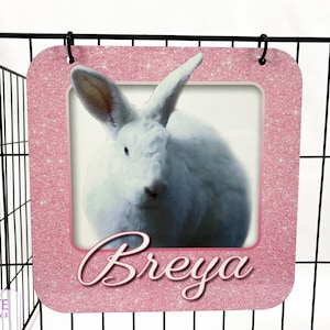 3-D Rabbit Name Tag, Bunny Cage Tag, Rabbit Cage Name Tag, Rabbit Cage Decor, Bunny Sign, Rabbit Cage Accessory, Bunny Cage Tag - Glitter