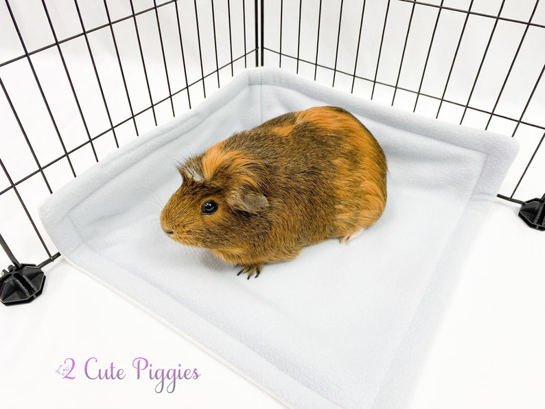 Poo Corner for Guinea Pigs Guinea Pig Potty Pads Pee Pads Etsy
