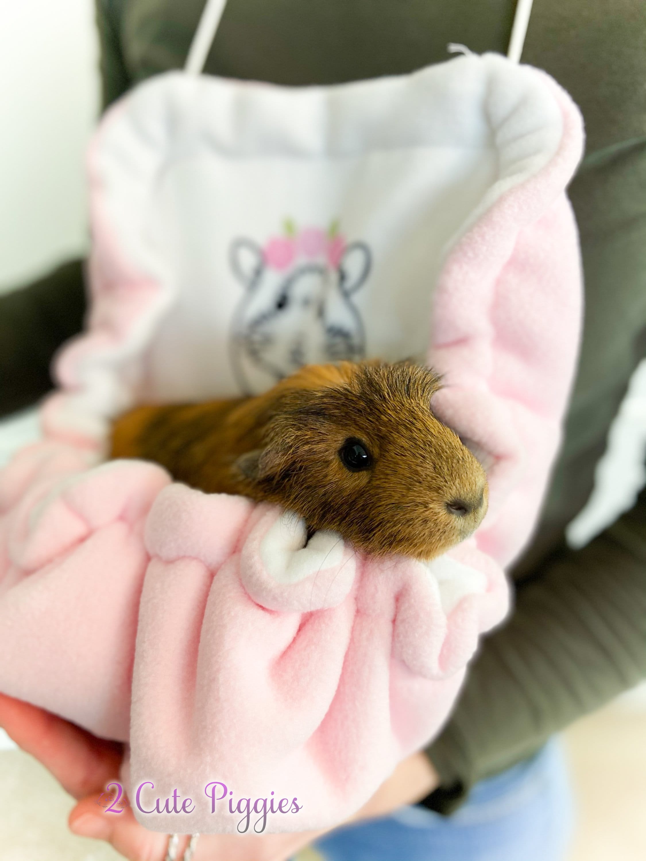 Personalized Guinea Pig Snuggle Sack Bonding Pouch Bonding Etsy