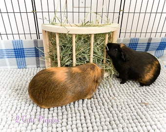 Hay Feeder for Guinea Pigs, Chinchillas, and Rabbits