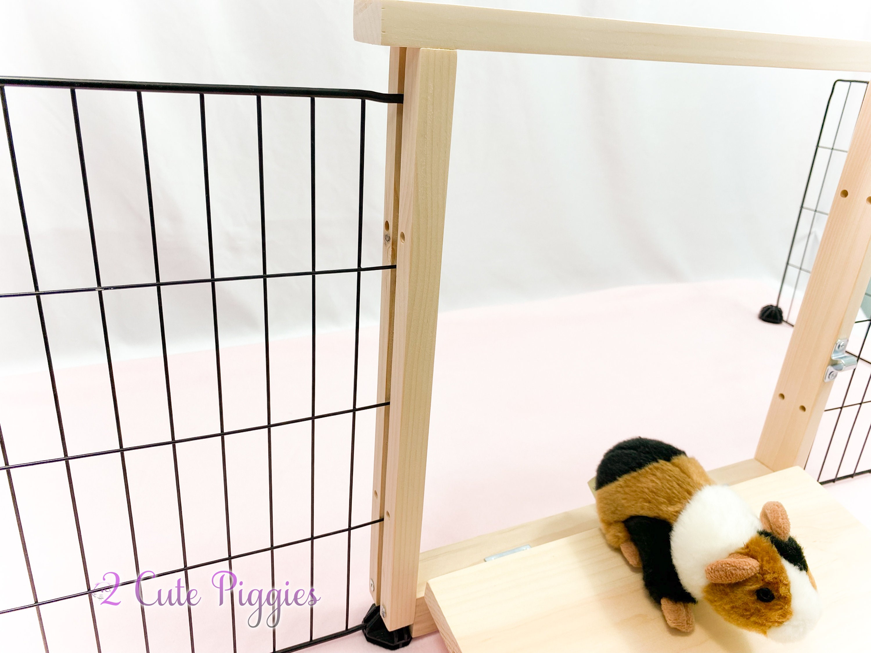 Guinea pig sale gate