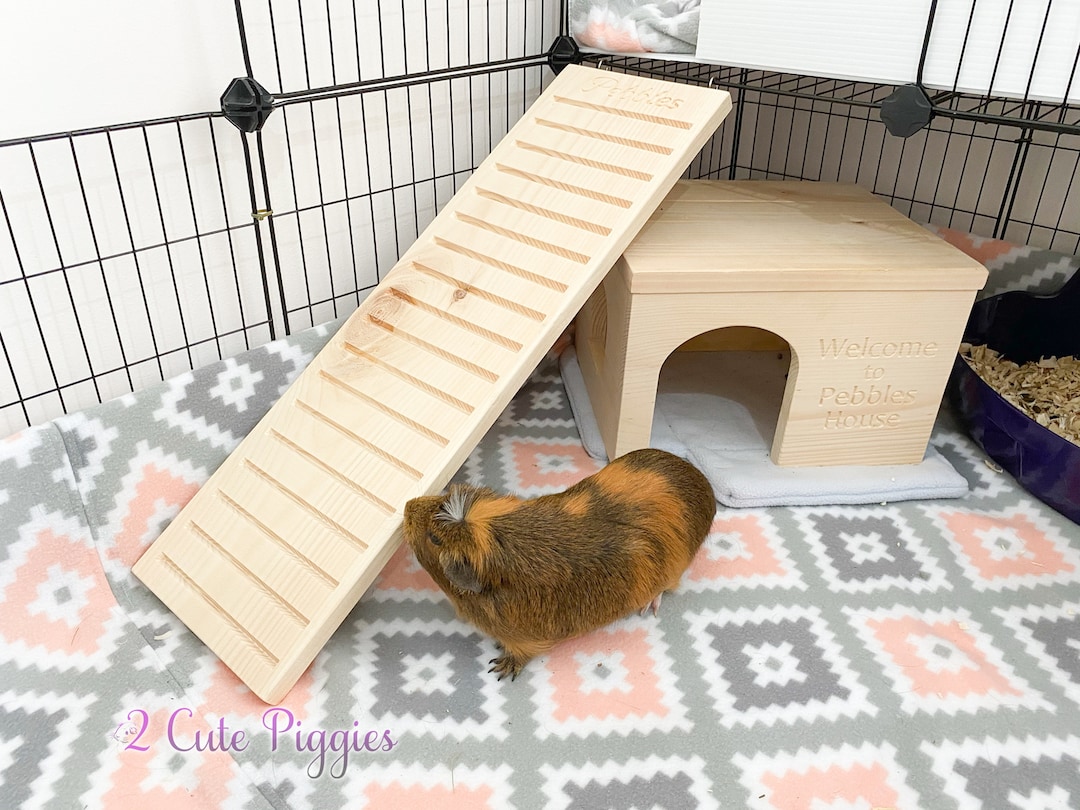 7.25 Personalized Guinea Pig Cage Ramp, Small Pet Ramp, Small Animal