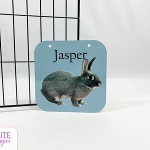 Bunny Rabbit Name Tag, Rabbit Accessories, Pet Tag, Bunny Personalized ...