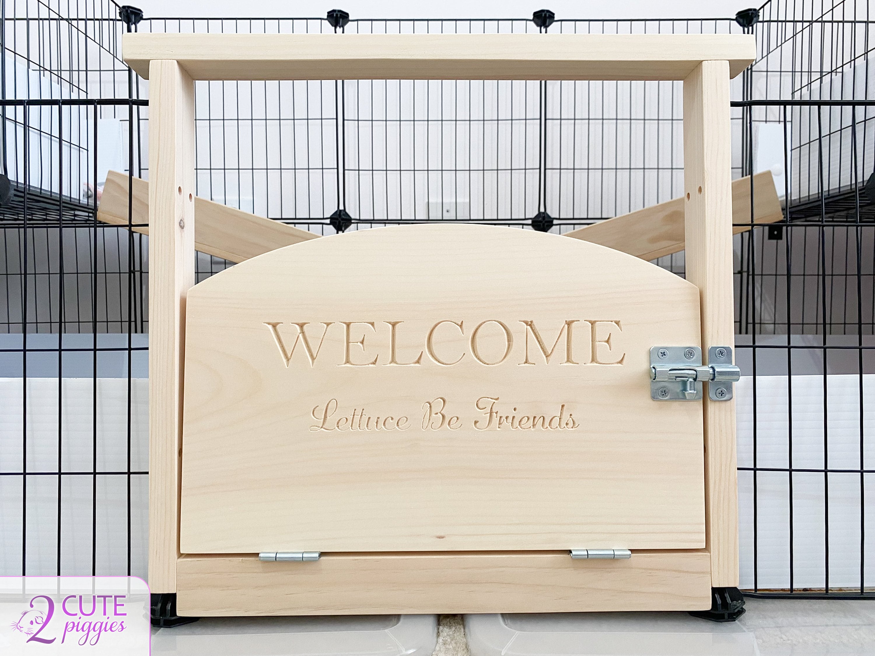 Guinea pig sale gate