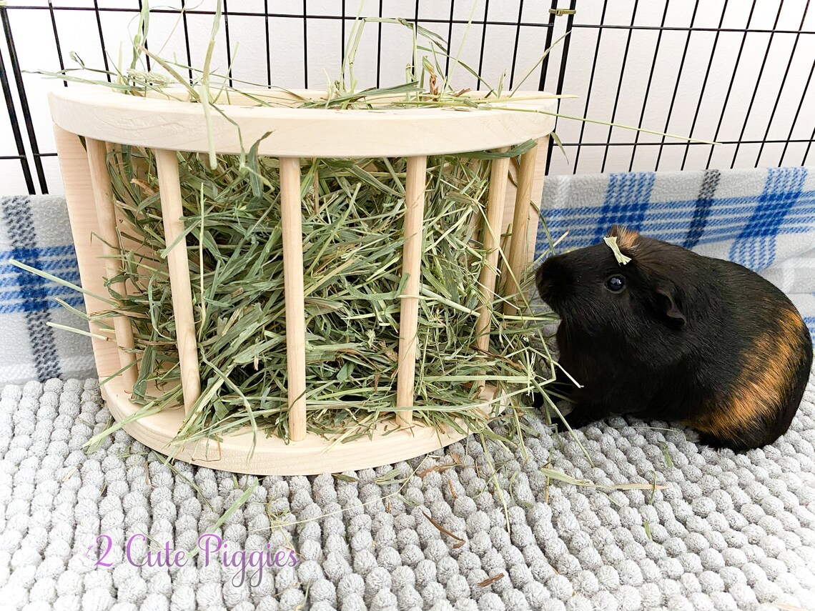 Hay Feeder for Guinea Pigs Guinea Pig Hay Feeder Chinchilla Etsy