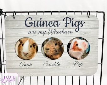 Guinea Pig Name Tag - Multiple Guinea Pig Tag