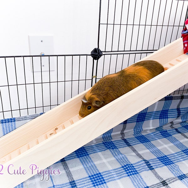 5.5" Guinea Pig Ramp with Sides, Guinea Pig Accessory, Chinchilla Cage Accessory, Rat Cage Accessory, Sugar Glider Accessory, Rabbit Ramp