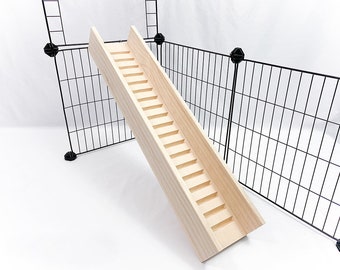 Guinea Pig Ramp with Sides