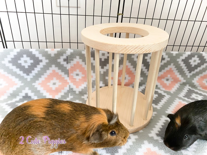 Guinea Pig Hay Feeder Chinchilla Hay Feeder Hay Feeder Hay Etsy