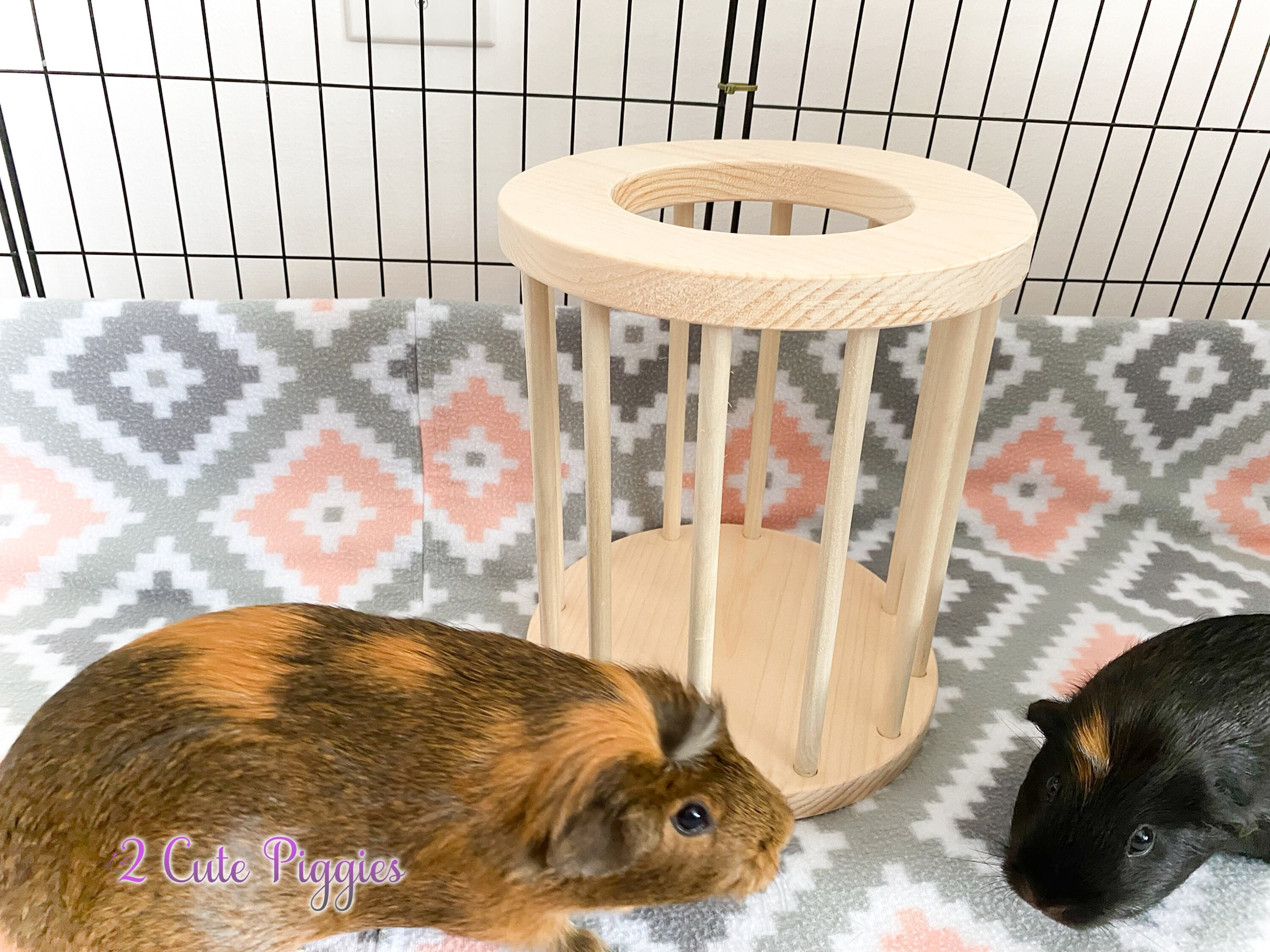 thumbnail image 2 of 2-in-1 Hay Feeder & Food Bowl For Guinea Pigs, Rabbits & Small Animals - Keeps Cage Clean (Blue) 2 of 13
