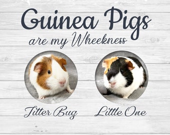 Guinea Pig Name Tag - Multiple Guinea Pig Tag
