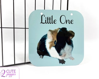 Guinea Pig Cage Name Tag with Picture of Your Guinea Pig - No Effect