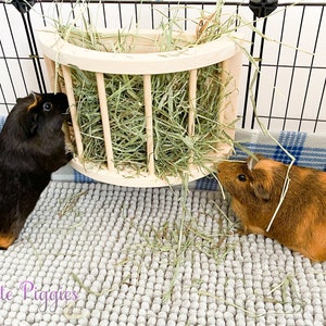 Image showcasing Guinea Pig Hay Feeder, Chinchilla Hay Feeder, Rabbit Hay Feeder, Hay ...
