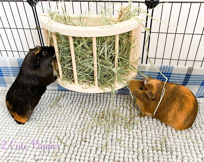 Featured listing image: Hay Feeder for Guinea Pigs - Half Moon