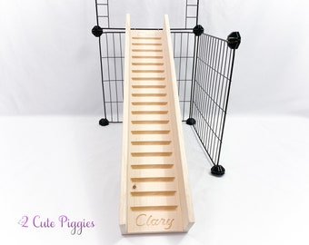Guinea Pig Ramp - with Sides - 5.5" Width