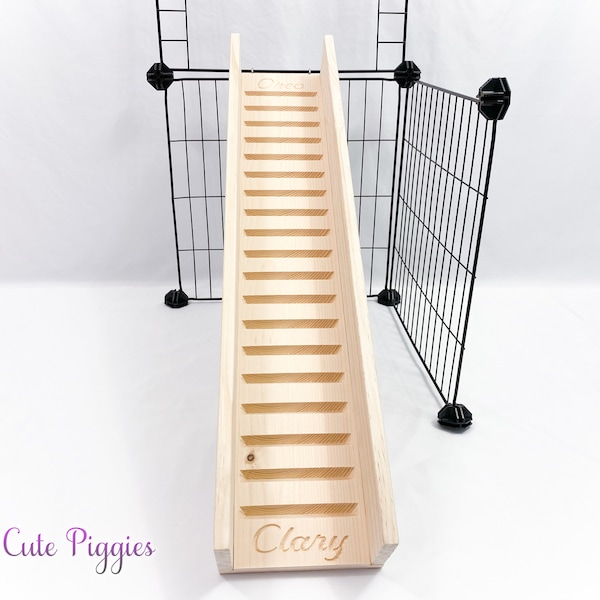 5.5" Guinea Pig Ramp with Sides, Guinea Pig Cage Ramp, Guinea Pig Accessories, Chinchilla Cage Accessories, Guinea Pig Ramp, C&C Cage Ramp