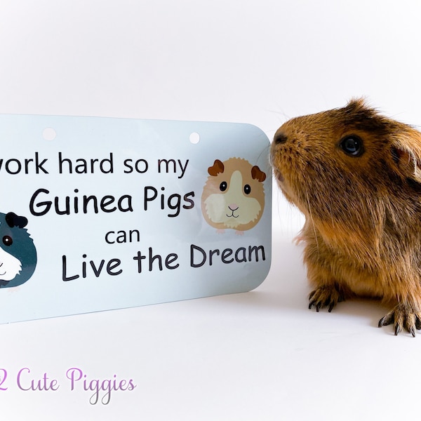 I Work Hard - Guinea Pig Cage Tag, Guinea Pig Accessories, Guinea Pig Cage Sign Art, Cage Accessory, Guinea Pig Art, Guinea Pig Wall Art