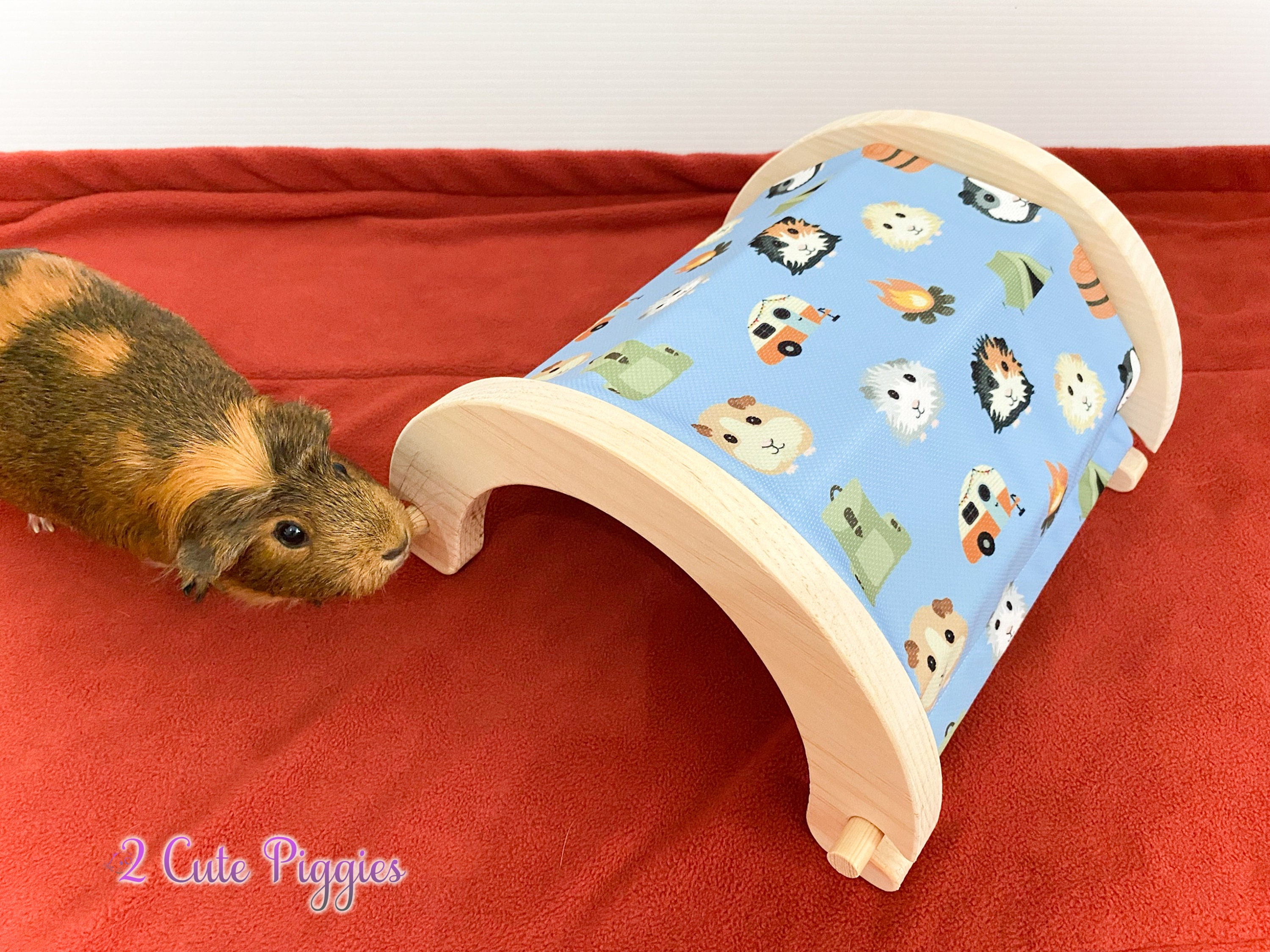 Wood Guinea Pig Tunnel Tunnel for Guinea Pigs Pet Bed | Etsy