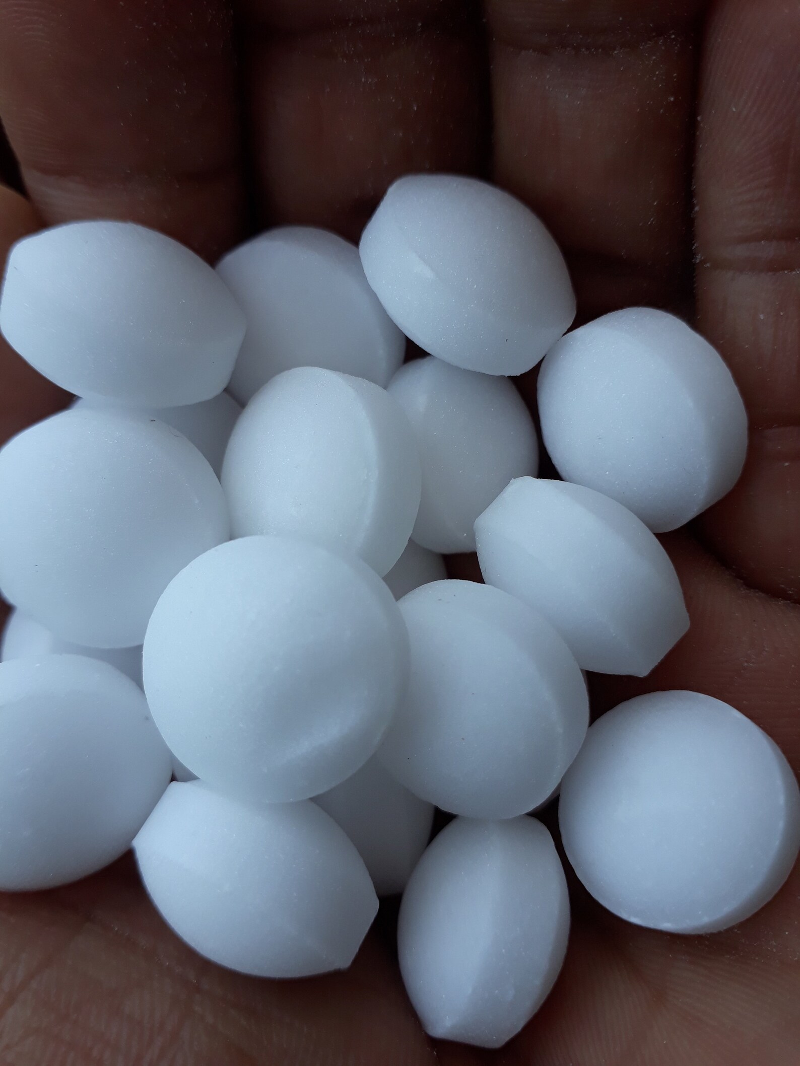 Moth Balls / snow white Balls/ Pest Insect Control/ camphor Etsy