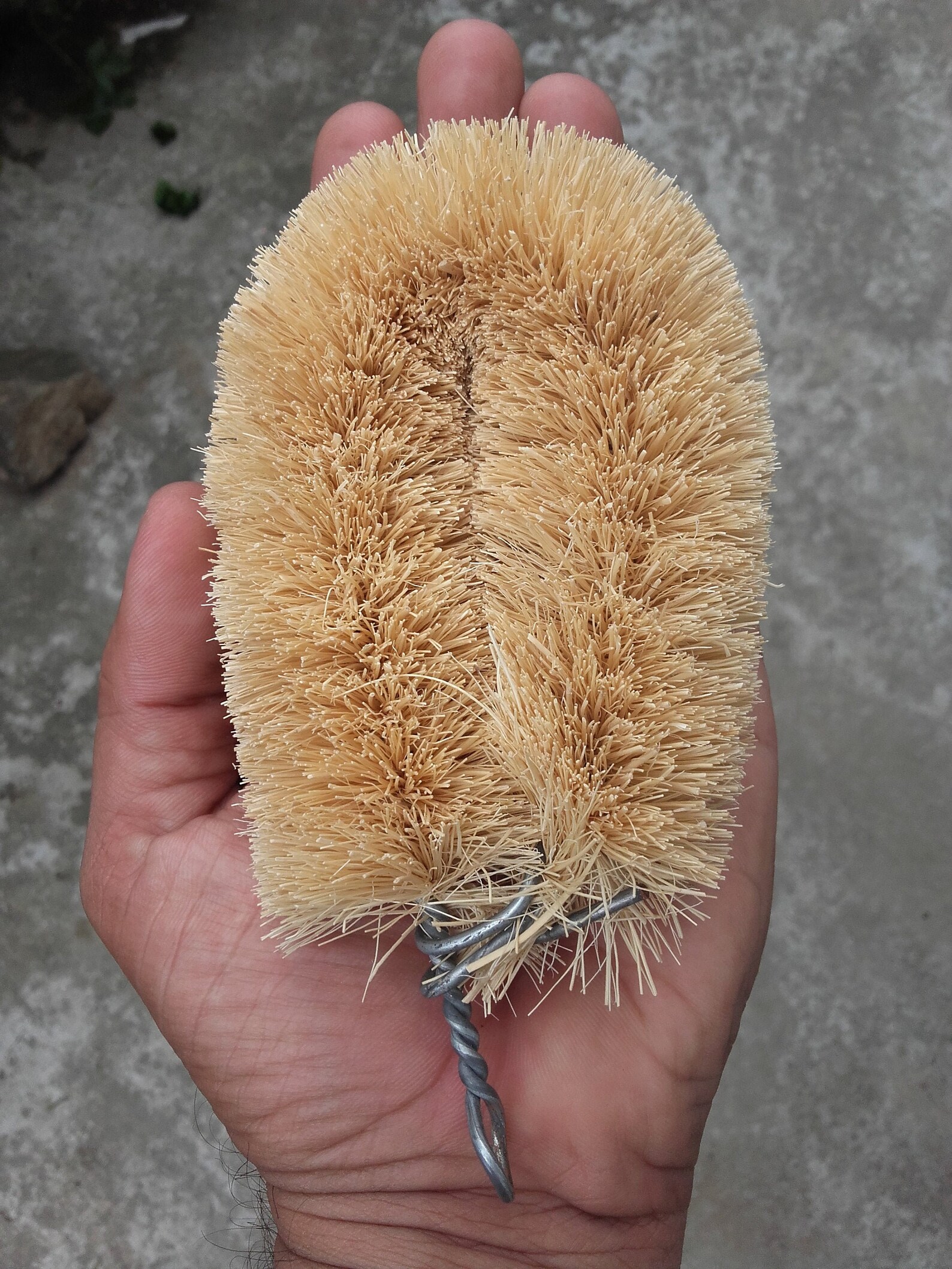 Coconut Fiber Brush/natural Coconut Coir Fiber Handmade Etsy